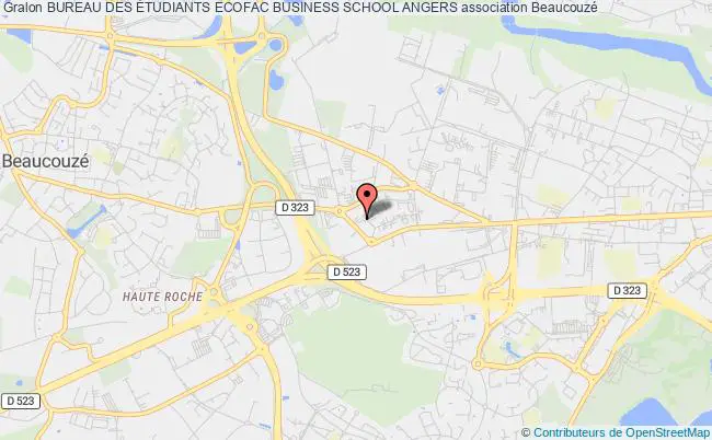 BUREAU DES ÉTUDIANTS ECOFAC BUSINESS SCHOOL ANGERS