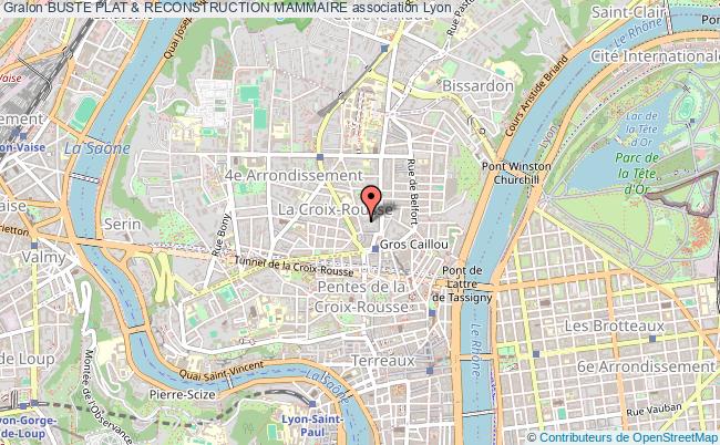 BUSTE PLAT & RECONSTRUCTION MAMMAIRE