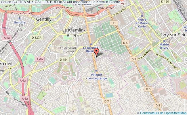 BUTTES AUX CAILLES BUDOKAI XIII