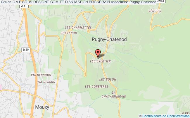 C A P SOUS DESIGNE COMITE D ANIMATION PUGNERAIN