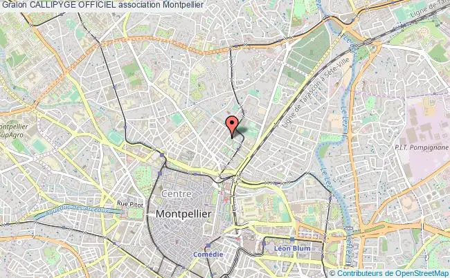 plan association Callipyge Officiel Montpellier
