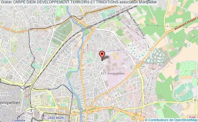 plan association Carpe Diem Developpement Terroirs Et Traditions Montpellier