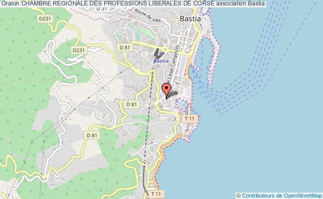 plan association Chambre Regionale Des Professions Liberales De Corse Bastia