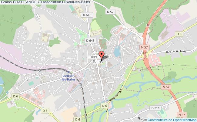 Chat L Ange 70 Association Association Adoption Ange Animal Departement Luxeuil Les Bains