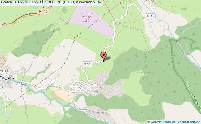 CLOWNS DANS LA SCIURE (CDLS)