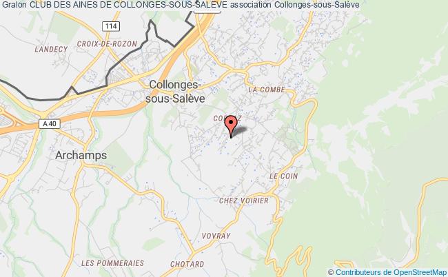 CLUB DES AINES DE COLLONGES-SOUS-SALEVE