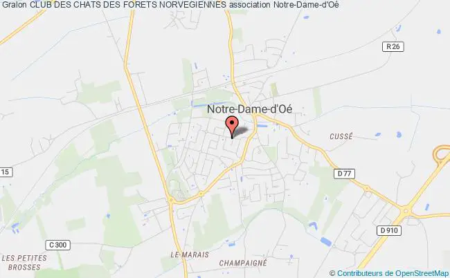 plan association Club Des Chats Des Forets Norvegiennes Notre-Dame-d'Oé
