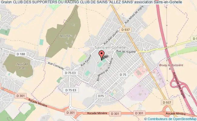 CLUB DES SUPPORTERS DU RACING CLUB DE SAINS 'ALLEZ SAINS'