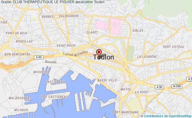 plan association Club Therapeutique Le Figuier Toulon