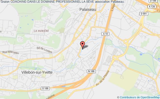 COACHING DANS LE DOMAINE PROFESSIONNEL LA SÈVE