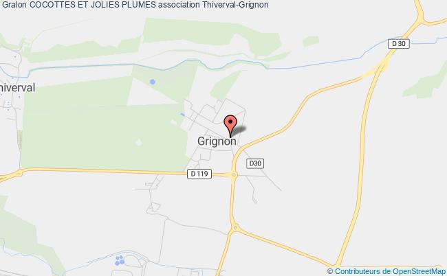 COCOTTES ET JOLIES PLUMES