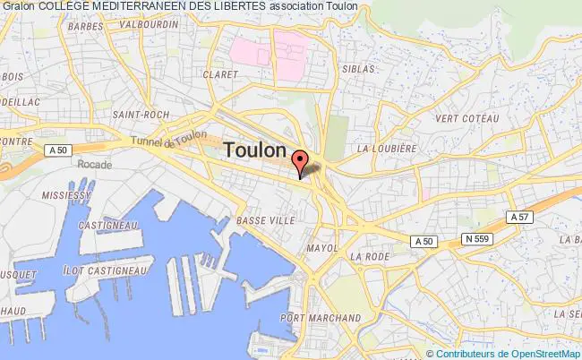 plan association College Mediterraneen Des Libertes Toulon