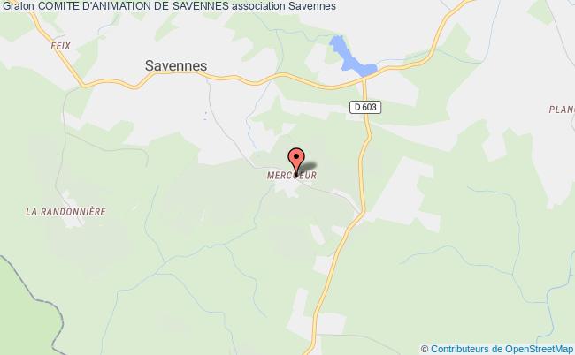 COMITE D'ANIMATION DE SAVENNES