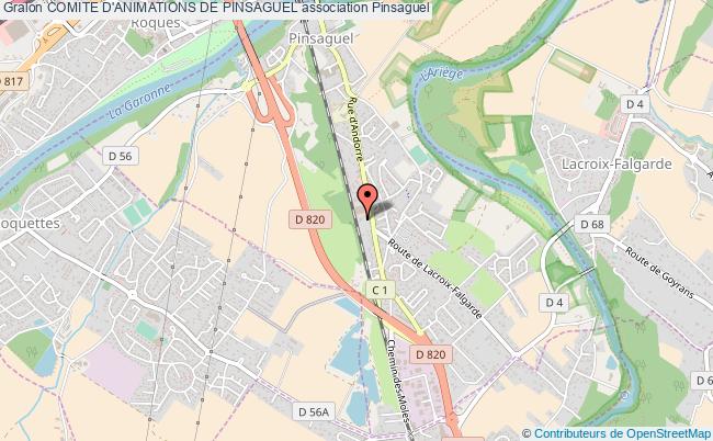 Comite d'animations de pinsaguel association Animations autres