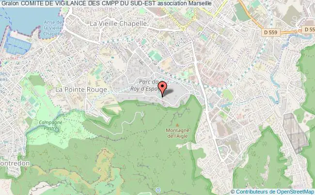 plan association Comite De Vigilance Des Cmpp Du Sud-est Marseille