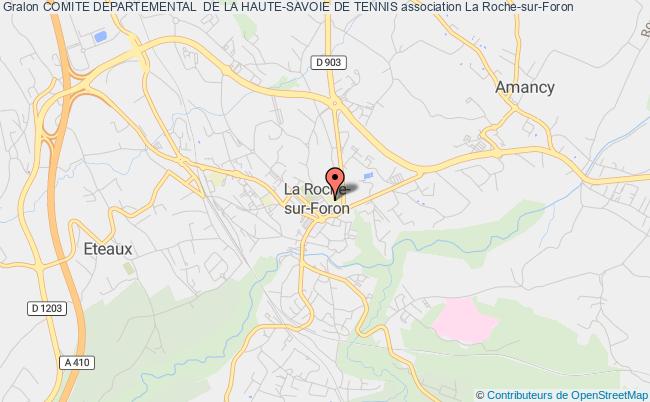 plan association Comite Departemental  De La Haute-savoie De Tennis La    Roche-sur-Foron