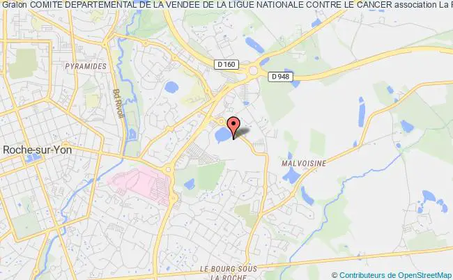 plan association Comite Departemental De La Vendee De La Ligue Nationale Contre Le Cancer La    Roche-sur-Yon