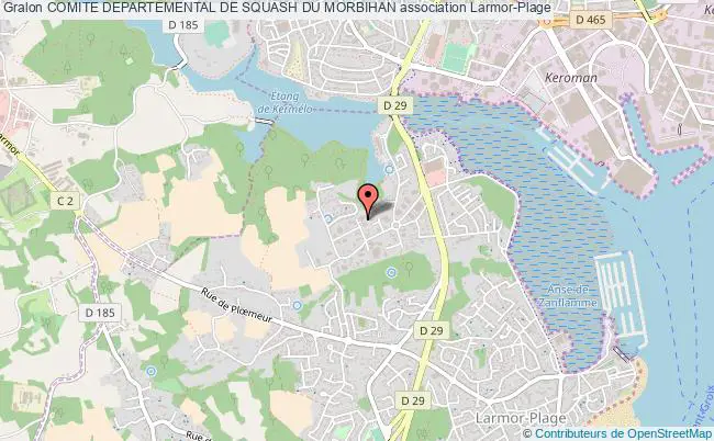 plan association Comite Departemental De Squash Du Morbihan Larmor-Plage