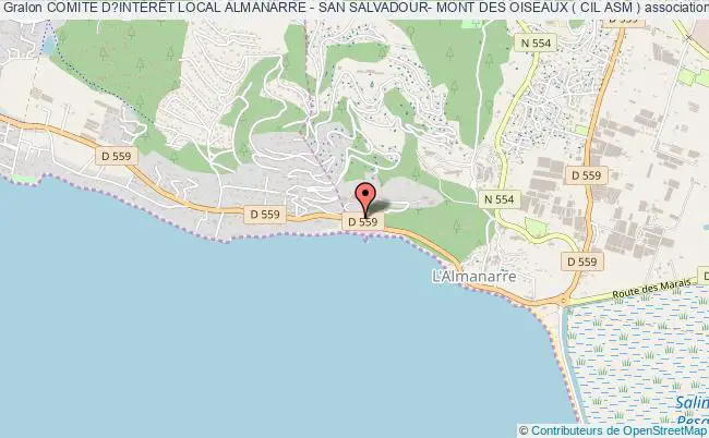 plan association Comite D?intÉrÊt Local Almanarre - San Salvadour- Mont Des Oiseaux ( Cil Asm ) Hyères