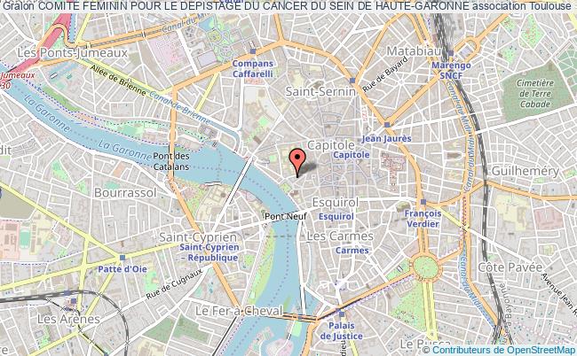 plan association Comite Feminin Pour Le Depistage Du Cancer Du Sein De Haute-garonne Toulouse