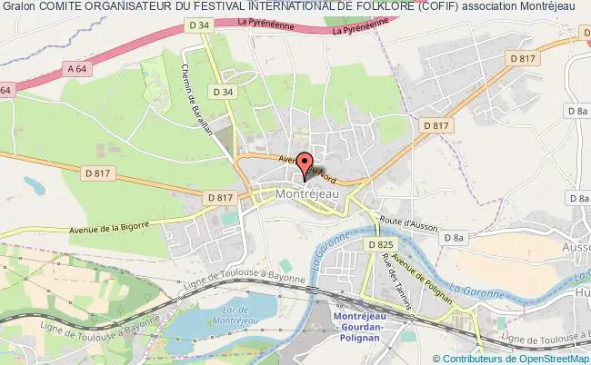 plan association Comite Organisateur Du Festival International De Folklore (cofif) Montréjeau