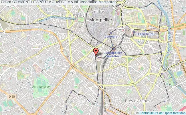 plan association Comment Le Sport A Change Ma Vie Montpellier