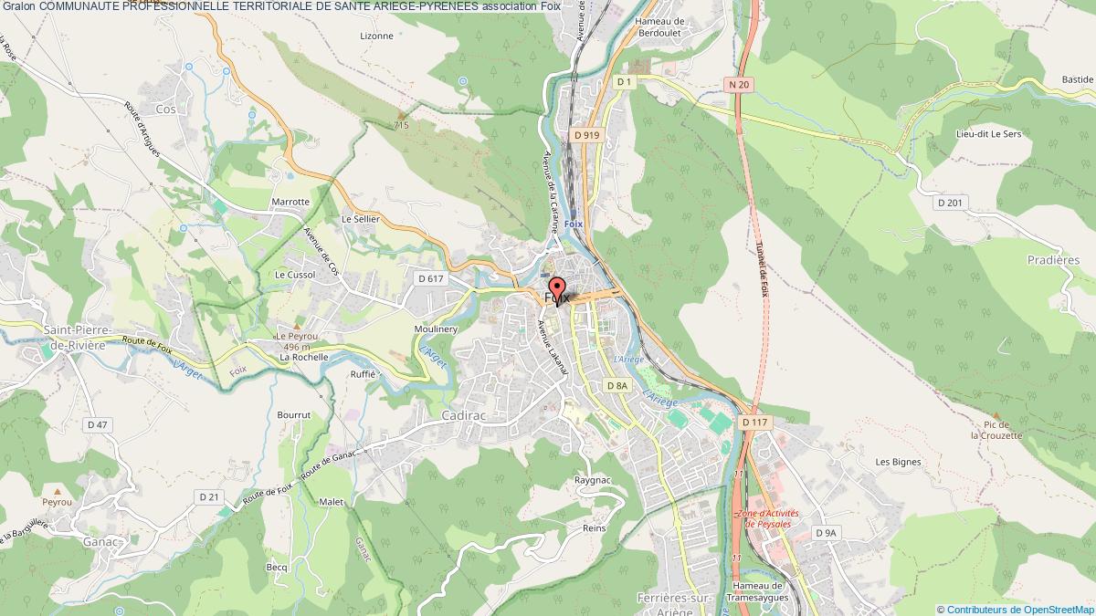 COMMUNAUTE PROFESSIONNELLE TERRITORIALE DE SANTE ARIEGE-PYRENEES