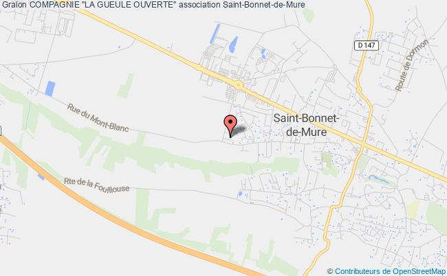 COMPAGNIE "LA GUEULE OUVERTE"