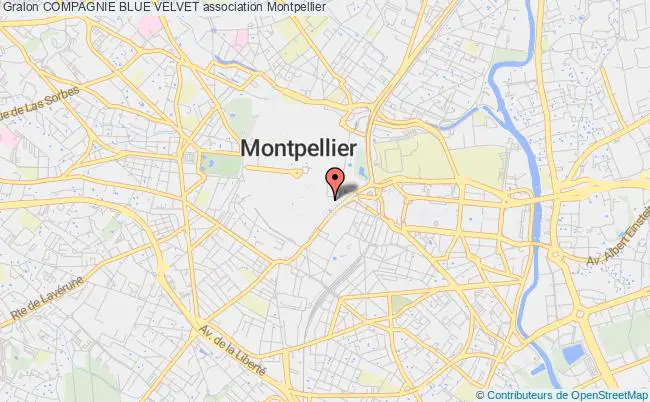 plan association Compagnie Blue Velvet Montpellier