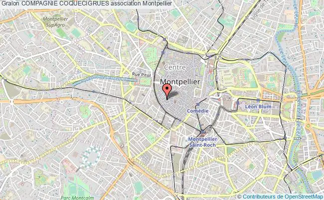 plan association Compagnie Coquecigrues Montpellier