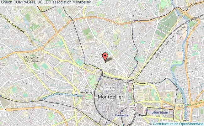 plan association Compagnie De Leo Montpellier