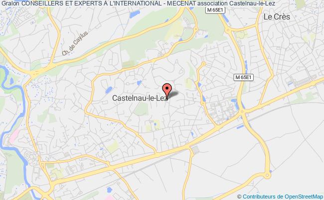 plan association Conseillers Et Experts À L'international - Mecenat Castelnau-le-Lez