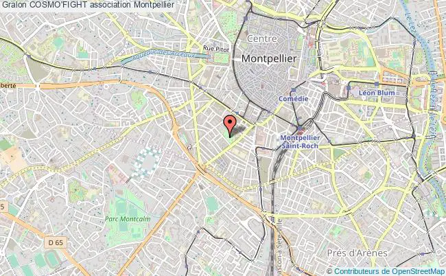 plan association Cosmo'fight Montpellier