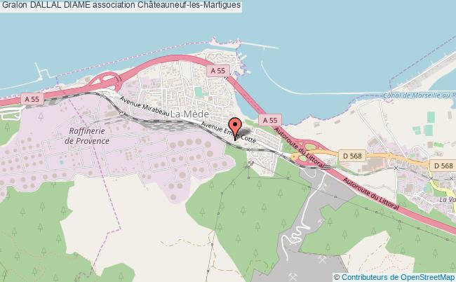 Dallal Diame Association Centres Hospitaliers Conformite Dimension Etablissement Francais Francais Chateauneuf Les Martigues