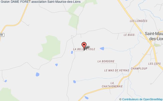 plan association Dame Foret Saint-Maurice-des-Lions