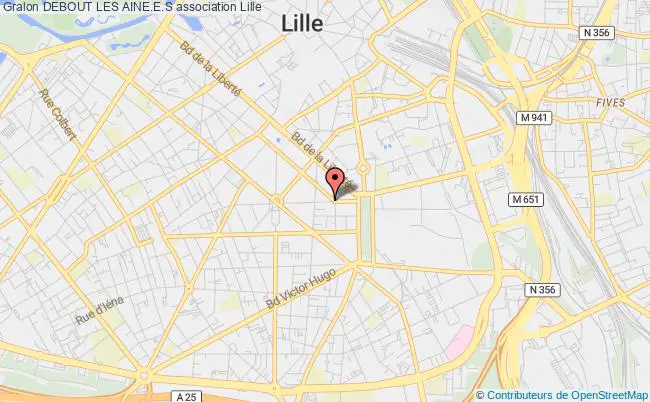 plan association Debout Les Aine.e.s Lille