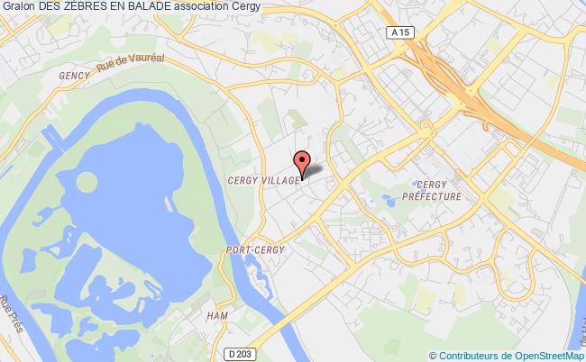 DES ZÈBRES EN BALADE