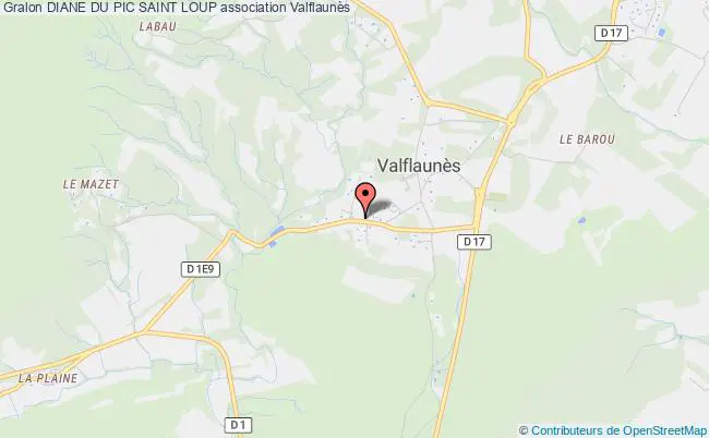 plan association Diane Du Pic Saint Loup Valflaunès