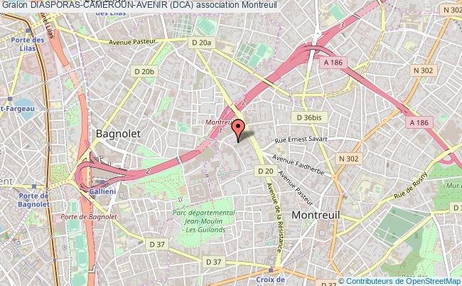 plan association Diasporas-cameroun-avenir (dca) Montreuil