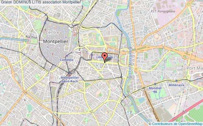 plan association Dominus Litis Montpellier