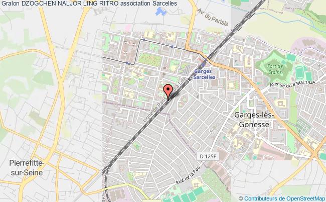 DZOGCHEN NALJOR LING RITRO