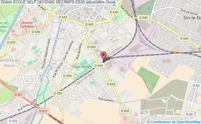 ECOLE SELF DEFENSE DECAMPS ES3D