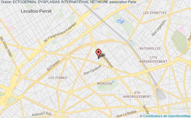 plan association Ectodermal Dysplasias International Network Paris