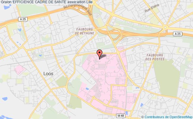 EFFICIENCE CADRE DE SANTE