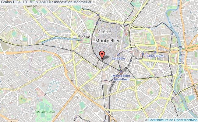 plan association Egalite Mon Amour Montpellier