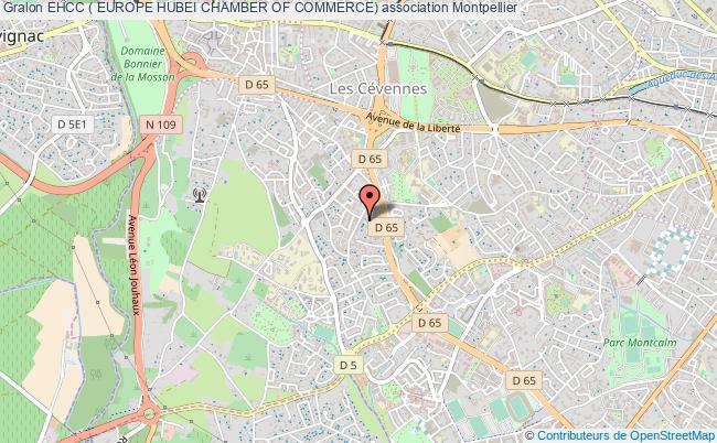 plan association Ehcc ( Europe Hubei Chamber Of Commerce) Montpellier