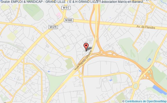 Emploi Handicap Grand Lille E H Grand Lille Association Association Insertion Professionnelle Metropole Metropole Lilloise Marcq En Baroeul