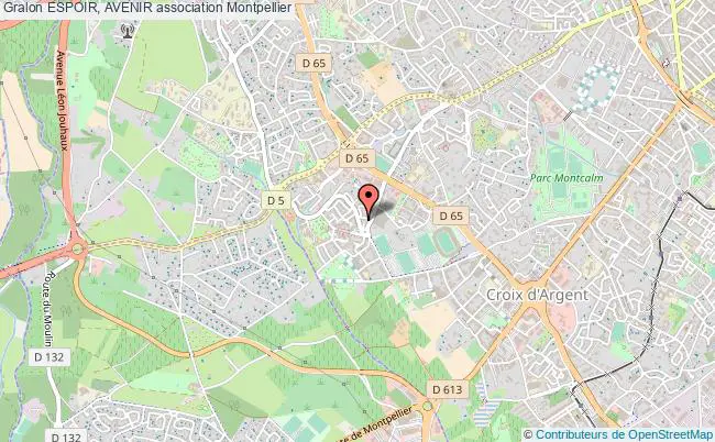 plan association Espoir, Avenir Montpellier