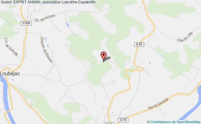 plan association Esprit Animal Lamothe-Capdeville