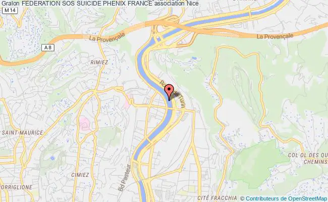 plan association Federation Sos Suicide Phenix France Nice